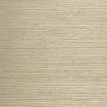 Plain Grounds Handcrafted Natural Grasscloth Wallcovering