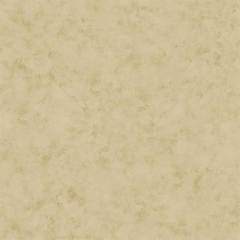 Plaster Glaze
