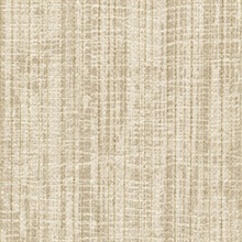 Plastered Woven Gypsum
