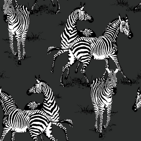 Playful Zebras Animal Print Charcoal Peel and Stick Wallpaper