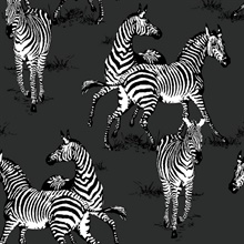Playful Zebras Animal Print Charcoal Peel and Stick Wallpaper