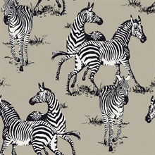Playful Zebras Animal Print Pavestone Peel and Stick Wallpaper