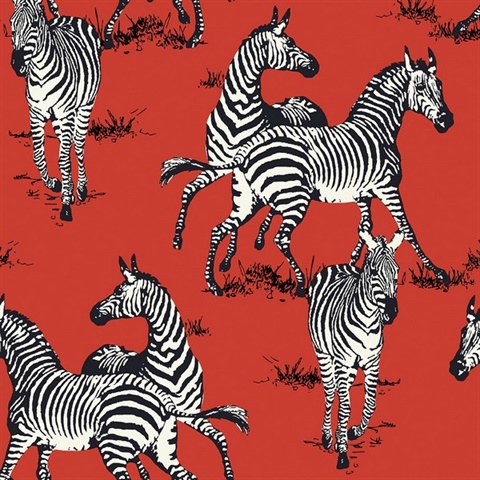 Playful Zebras Animal Print Red Peel and Stick Wallpaper