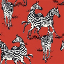 Playful Zebras Animal Print Red Peel and Stick Wallpaper