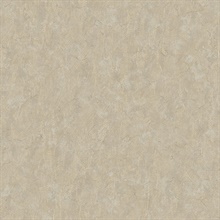 Pliny Off-White Distressed Texture Wallpaper