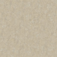 Pliny Off-White Distressed Texture Wallpaper