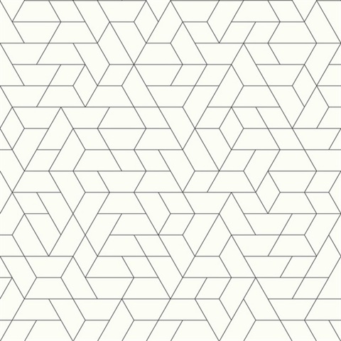 Black & White Point of View Geometric Wallpaper