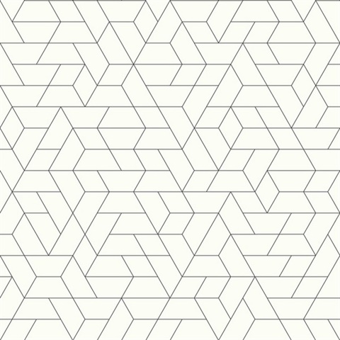 Black & White Point of View Geometric Wallpaper