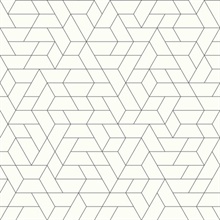 Black &amp; White Point of View Geometric Wallpaper