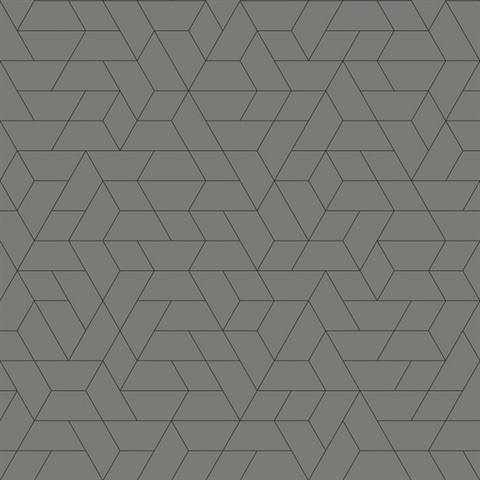 Point of View Wallpaper - Gray