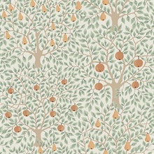 Pomona Multicolor Fruit Tree Wallpaper