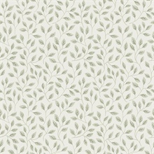 Posey Light Green Vines Wallpaper