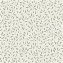 Posey Light Green Vines Wallpaper