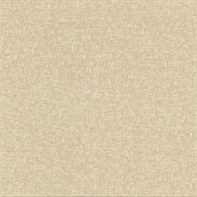 Prague Khaki Texture