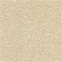 Prague Khaki Texture