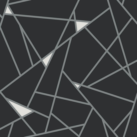 Black & Silver Prismatic Modern Geometric Lines Wallpaper