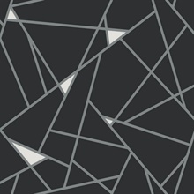 Black &amp; Silver Prismatic Modern Geometric Lines Wallpaper