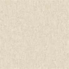 Prosecco Faux Plaster Wallpaper