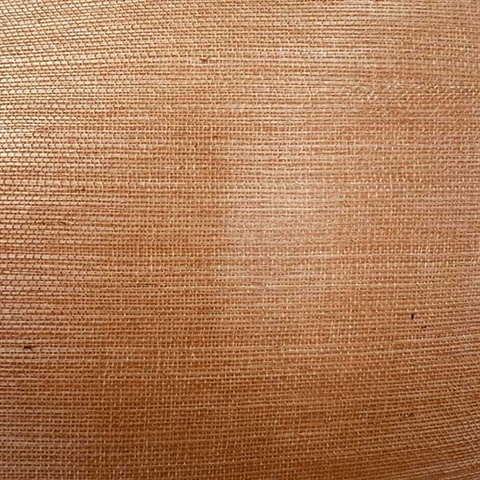 Pumpkin Wallquest BX10021 Grasscloth Wallpaper