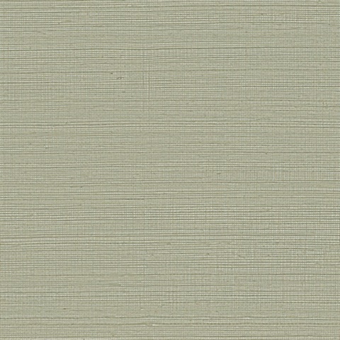 Maguey Natural Sisal Grasscloth Putty Wallpaper