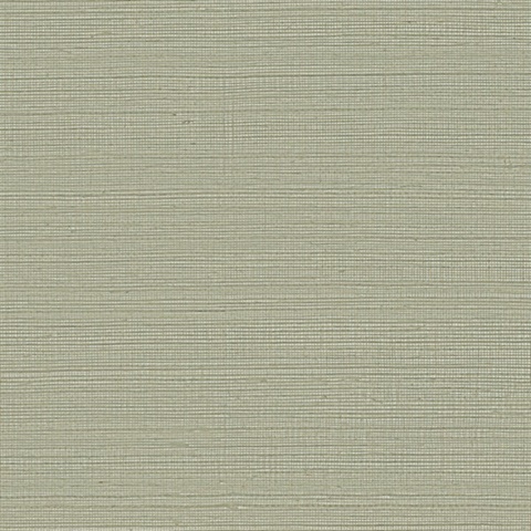 Maguey Natural Sisal Grasscloth Putty Wallpaper