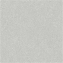 Questex Shagreen Ash Commercial Wallpaper