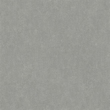 Questex Shagreen Iron Commercial Wallpaper