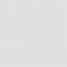 Questex Shagreen Platinum Commercial Wallpaper