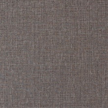 Quinault Graphite