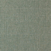 Quinault Pine
