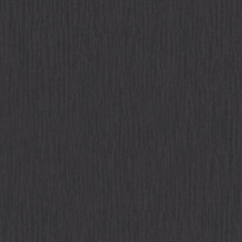 Raegan Charcoal Texture