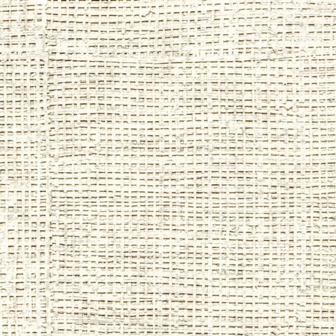 Raffia Canvas Luxury Commercial Wallpaper, CV 111 02