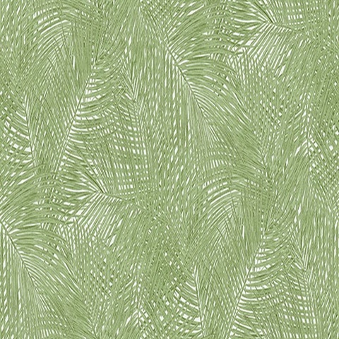 Raina Green Tropical Palm Leaves Wallpaper