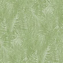 Raina Green Tropical Palm Leaves Wallpaper