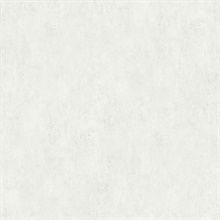 Rainey Dove Stucco Textured Wallpaper