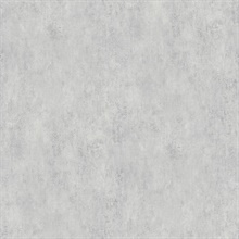 Rainey Grey Stucco Textured Wallpaper