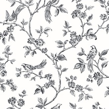 Bold Floral Pattern Wallpaper for Walls  Irene