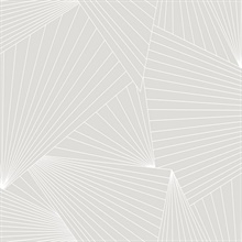 Ray Geo Geometric Granite Dust Peel and Stick Wallpaper