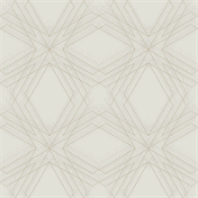 Relativity Grey Geometric Wallpaper