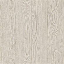 Remi Light Grey Vertical Textured Wood Planks Wallpaper