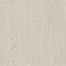 Remi Light Grey Vertical Textured Wood Planks Wallpaper