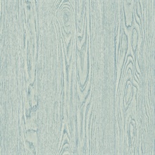 Remi Turquoise Vertical Textured Wood Planks Wallpaper