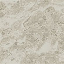 Reyne Taupe Marble