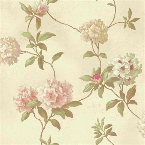 Rhodedendrum/Script