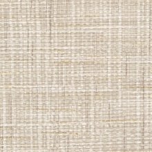 Ridgewood Raffia Champagne Burlap