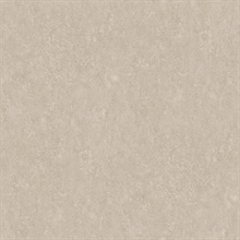 Rini Beige Distressed Textured Wallpaper