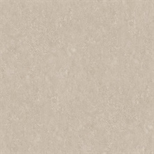 Rini Beige Distressed Textured Wallpaper