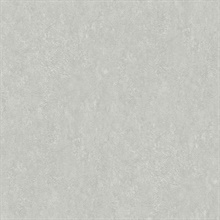 Rini Grey Distressed Textured Wallpaper