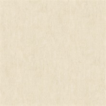 Riomar Cream Weathered Faux Plaster Texture Wallpaper