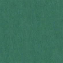 Riomar Green Weathered Faux Plaster Texture Wallpaper